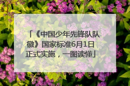 《中国少年先锋队队徽》国家标准6月1日正式实施，一图读懂