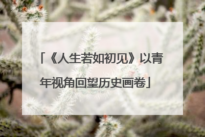 《人生若如初见》以青年视角回望历史画卷
