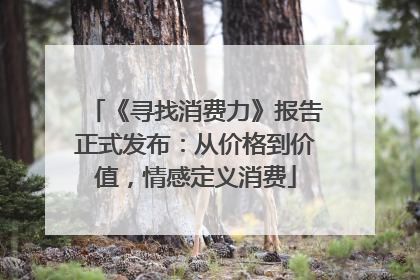 《寻找消费力》报告正式发布：从价格到价值，情感定义消费