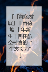 「绿色发展」千亩荷塘 十年新生｜四任航空村官的“生态接力”
