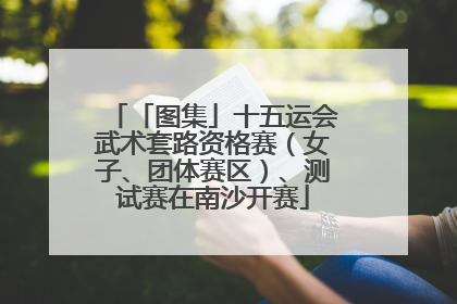 「图集」十五运会武术套路资格赛（女子、团体赛区）、测试赛在南沙开赛