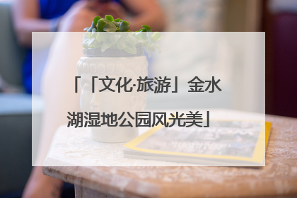「文化·旅游」金水湖湿地公园风光美