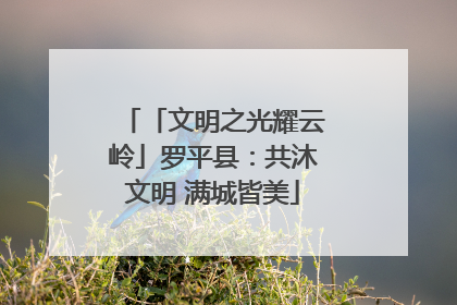 「文明之光耀云岭」罗平县：共沐文明 满城皆美