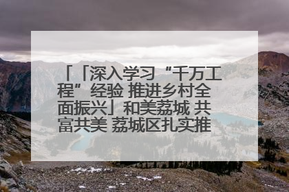 「深入学习“千万工程”经验 推进乡村全面振兴」和美荔城 共富共美 荔城区扎实推进乡村振兴工作