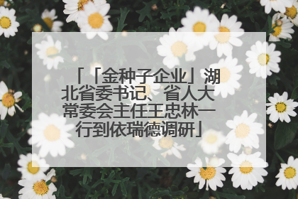 「金种子企业」湖北省委书记、省人大常委会主任王忠林一行到依瑞德调研