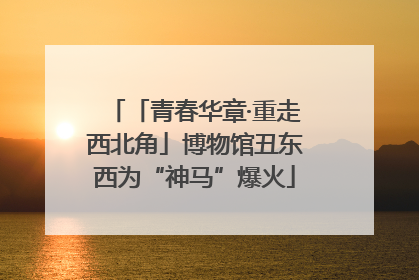 「青春华章·重走西北角」博物馆丑东西为“神马”爆火