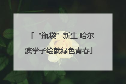 “瓶袋”新生 哈尔滨学子绘就绿色青春