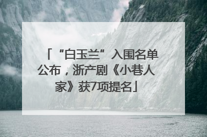 “白玉兰”入围名单公布，浙产剧《小巷人家》获7项提名