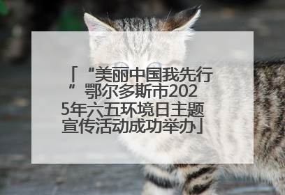 “美丽中国我先行”鄂尔多斯市2025年六五环境日主题宣传活动成功举办