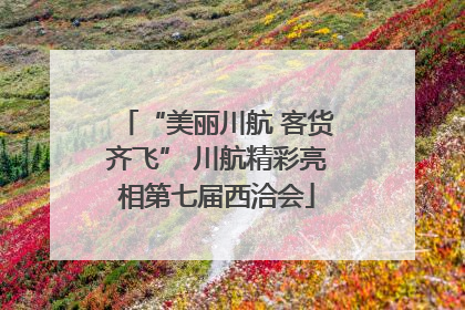 “美丽川航 客货齐飞” 川航精彩亮相第七届西洽会