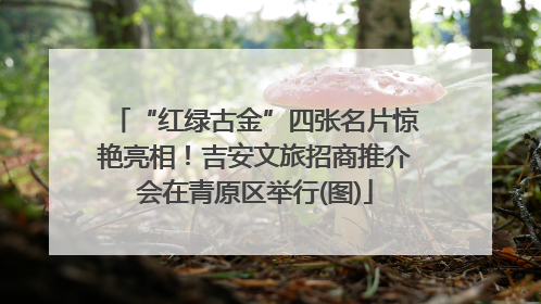 “红绿古金”四张名片惊艳亮相！吉安文旅招商推介会在青原区举行(图)