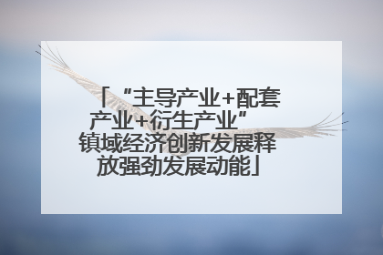 “主导产业+配套产业+衍生产业” 镇域经济创新发展释放强劲发展动能