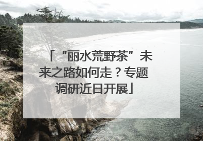 “丽水荒野茶”未来之路如何走？专题调研近日开展