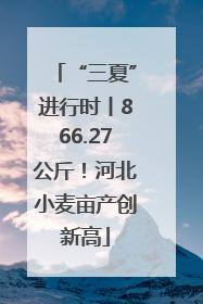 “三夏”进行时丨866.27公斤！河北小麦亩产创新高