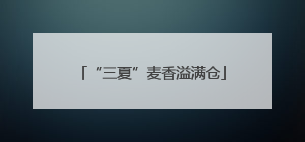 “三夏”麦香溢满仓