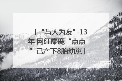 “与人为友”13年 网红麋鹿“点点”已产下8胎幼崽