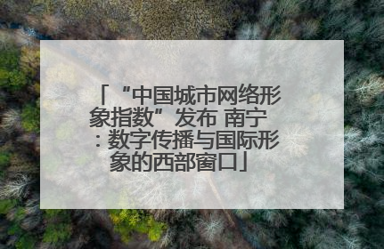 “中国城市网络形象指数”发布 南宁：数字传播与国际形象的西部窗口