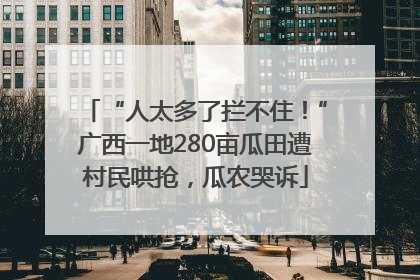 “人太多了拦不住！”广西一地280亩瓜田遭村民哄抢，瓜农哭诉