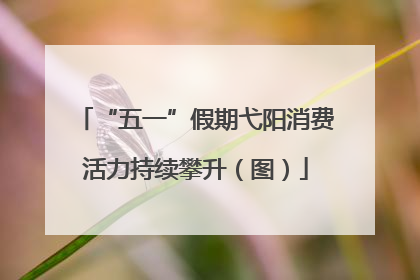 “五一”假期弋阳消费活力持续攀升（图）
