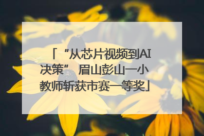 “从芯片视频到AI决策” 眉山彭山一小教师斩获市赛一等奖