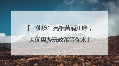 “仙境”亮相黄浦江畔，三大优惠游玩政策等你来