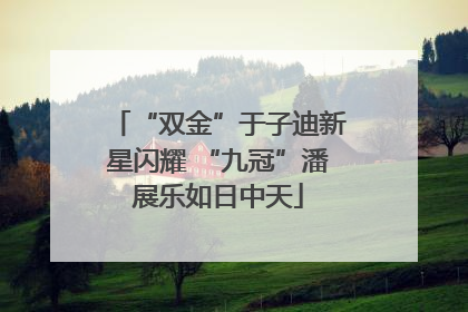 “双金”于子迪新星闪耀 “九冠”潘展乐如日中天