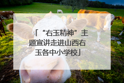 “右玉精神”主题宣讲走进山西右玉各中小学校