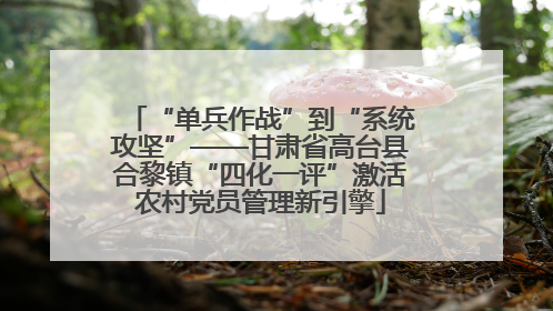 “单兵作战”到“系统攻坚”——甘肃省高台县合黎镇“四化一评”激活农村党员管理新引擎
