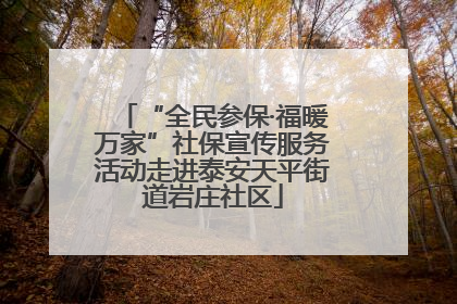 “全民参保·福暖万家”社保宣传服务活动走进泰安天平街道岩庄社区