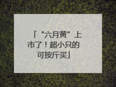 “六月黄”上市了！超小只的可按斤买