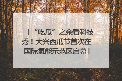 “吃瓜”之余看科技秀！大兴西瓜节首次在国际氢能示范区启幕