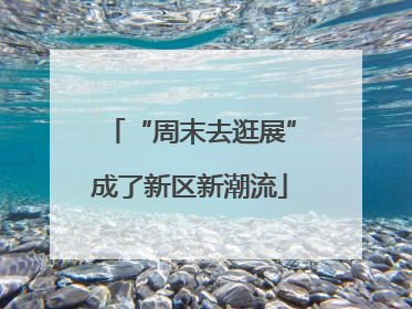 “周末去逛展”成了新区新潮流