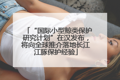 “国际小型鲸类保护研究计划”在汉发布，将向全球推介落地长江江豚保护经验