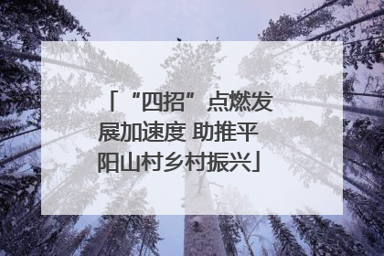 “四招”点燃发展加速度 助推平阳山村乡村振兴