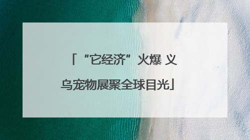 “它经济”火爆 义乌宠物展聚全球目光