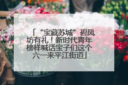 “宝藏苏城”碧凤坊有礼！新时代青年榜样喊话宝子们这个六一来平江街道