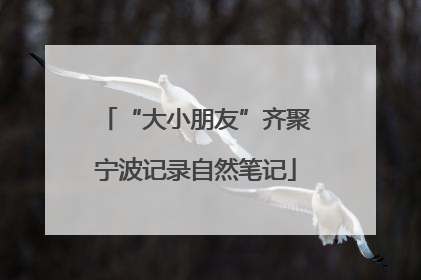 “大小朋友”齐聚宁波记录自然笔记