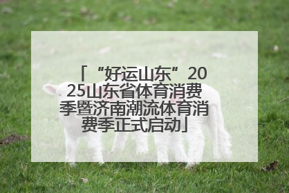 “好运山东”2025山东省体育消费季暨济南潮流体育消费季正式启动