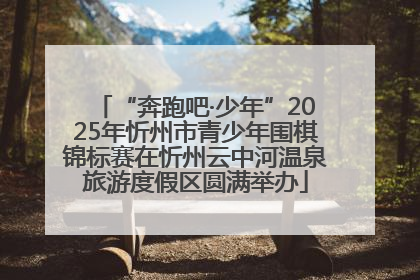 “奔跑吧·少年”2025年忻州市青少年围棋锦标赛在忻州云中河温泉旅游度假区圆满举办
