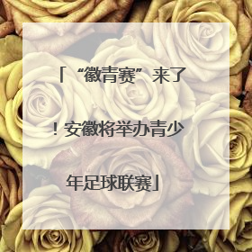 “徽青赛”来了！安徽将举办青少年足球联赛