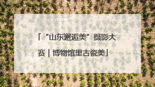 “山东邂逅美”摄影大赛｜博物馆里古瓷美