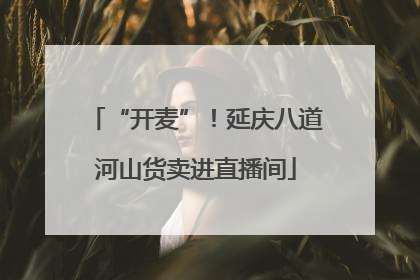 “开麦”！延庆八道河山货卖进直播间