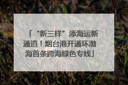 “新三样”添海运新通道！烟台港开通环渤海首条跨海绿色专线