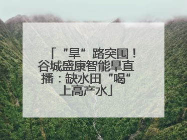 “旱”路突围！谷城盛康智能旱直播：缺水田“喝”上高产水