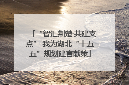 “智汇荆楚·共建支点” 我为湖北“十五五”规划建言献策