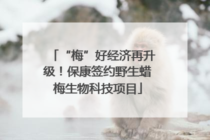 “梅”好经济再升级！保康签约野生蜡梅生物科技项目