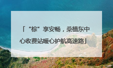 “棕”享安畅，桑植东中心收费站暖心护航高速路