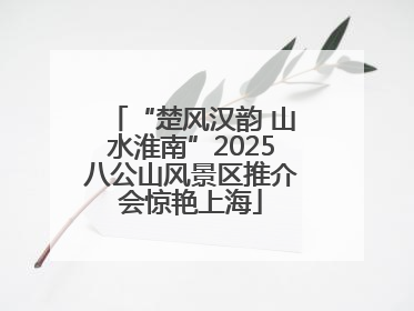 “楚风汉韵 山水淮南”2025八公山风景区推介会惊艳上海