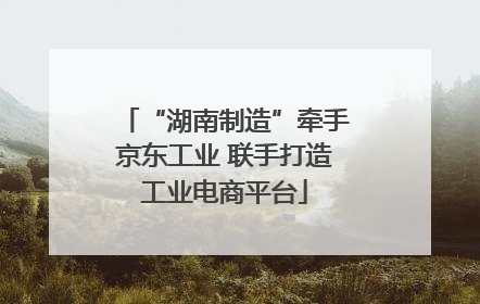 “湖南制造”牵手京东工业 联手打造工业电商平台
