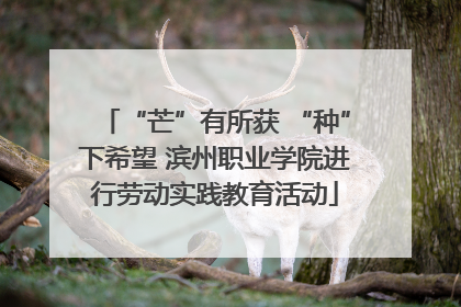 “芒”有所获 “种”下希望 滨州职业学院进行劳动实践教育活动
